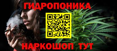 стаф Канаш